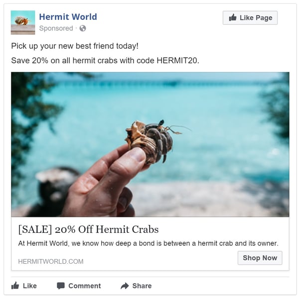 Ecommerce Marketing Strategy Run Facebook Retargeting Ads